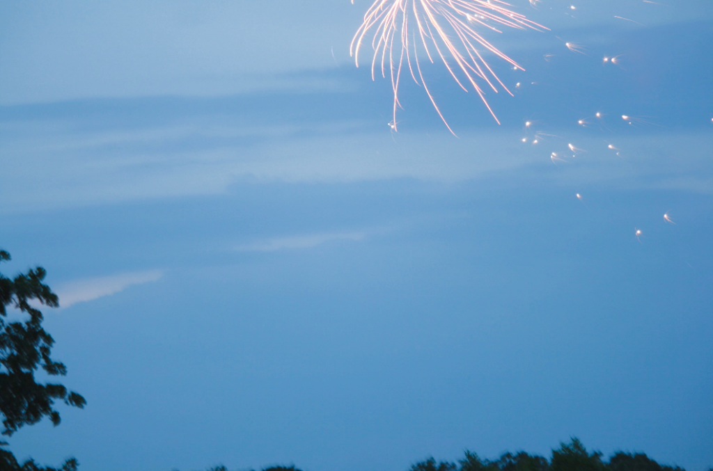 Firework bursting over treetops at dusk